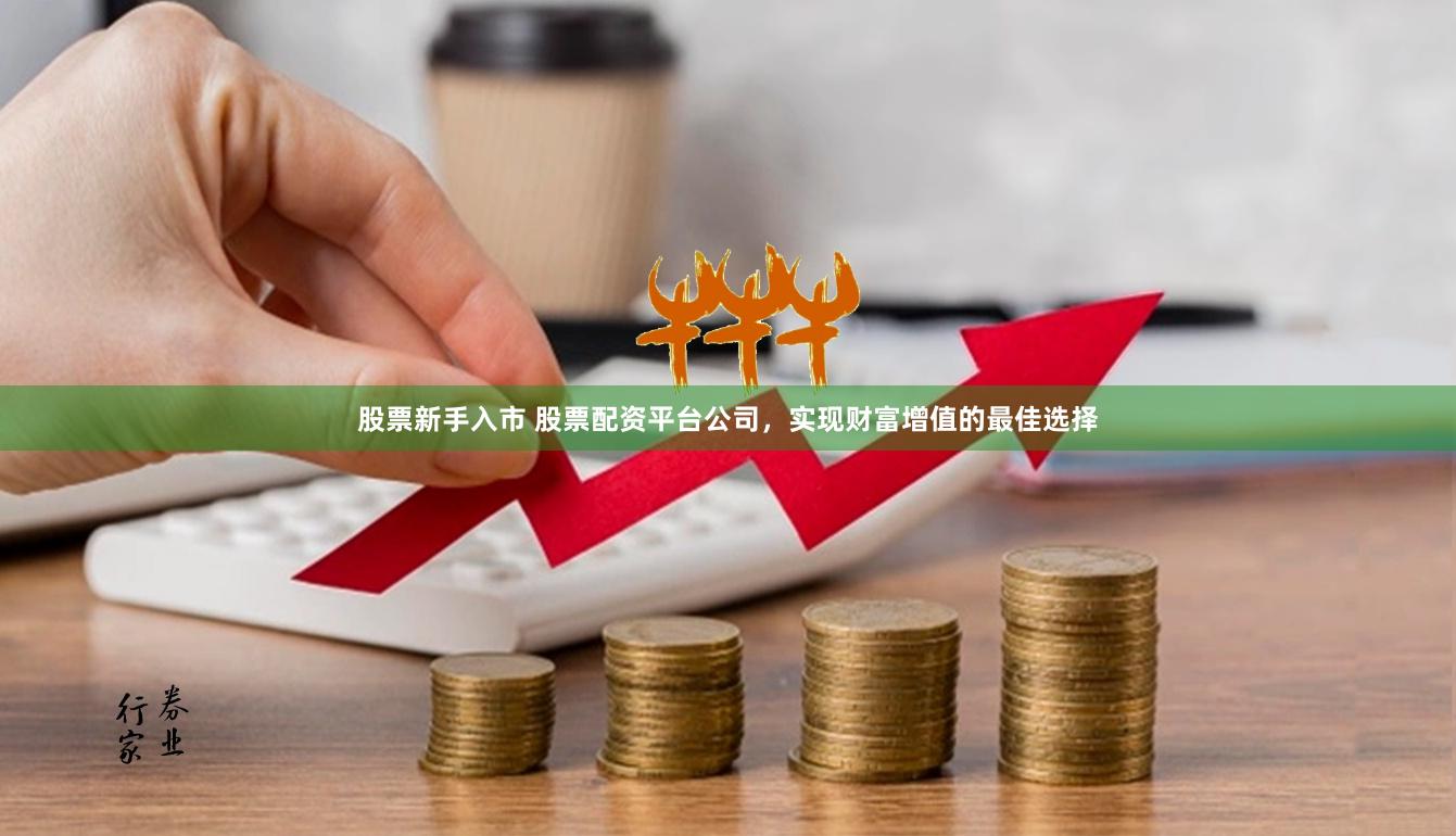 股票新手入市 股票配资平台公司，实现财富增值的最佳选择