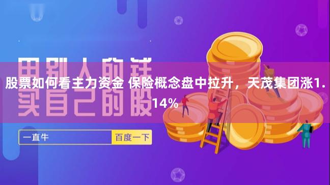 股票如何看主力资金 保险概念盘中拉升，天茂集团涨1.14%