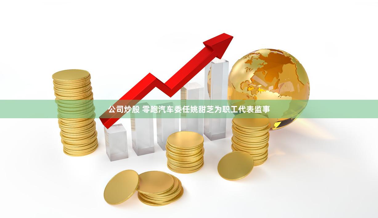 公司炒股 零跑汽车委任姚甜芝为职工代表监事