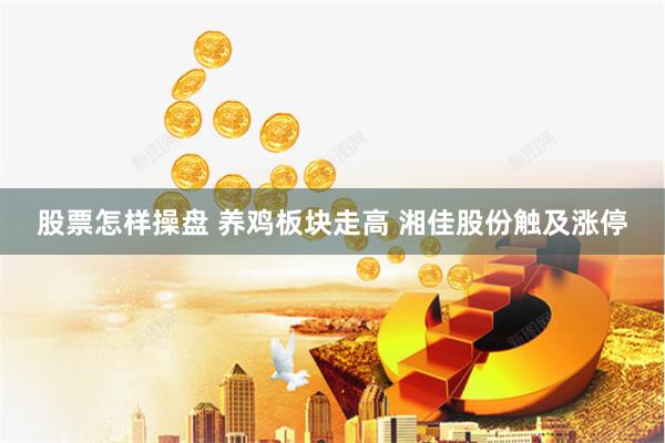 股票怎样操盘 养鸡板块走高 湘佳股份触及涨停