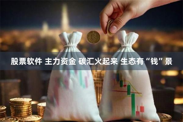 股票软件 主力资金 碳汇火起来 生态有“钱”景