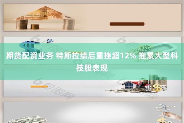 期货配资业务 特斯拉绩后重挫超12% 拖累大型科技股表现