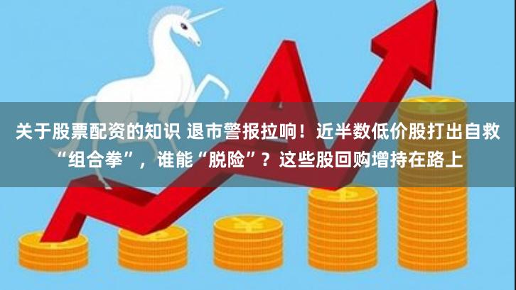 关于股票配资的知识 退市警报拉响！近半数低价股打出自救“组合拳”，谁能“脱险”？这些股回购增持在路上