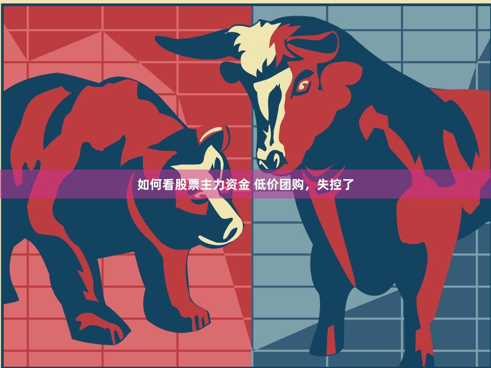如何看股票主力资金 低价团购，失控了