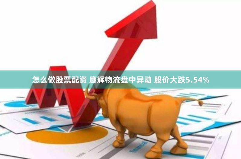 怎么做股票配资 鹰辉物流盘中异动 股价大跌5.54%
