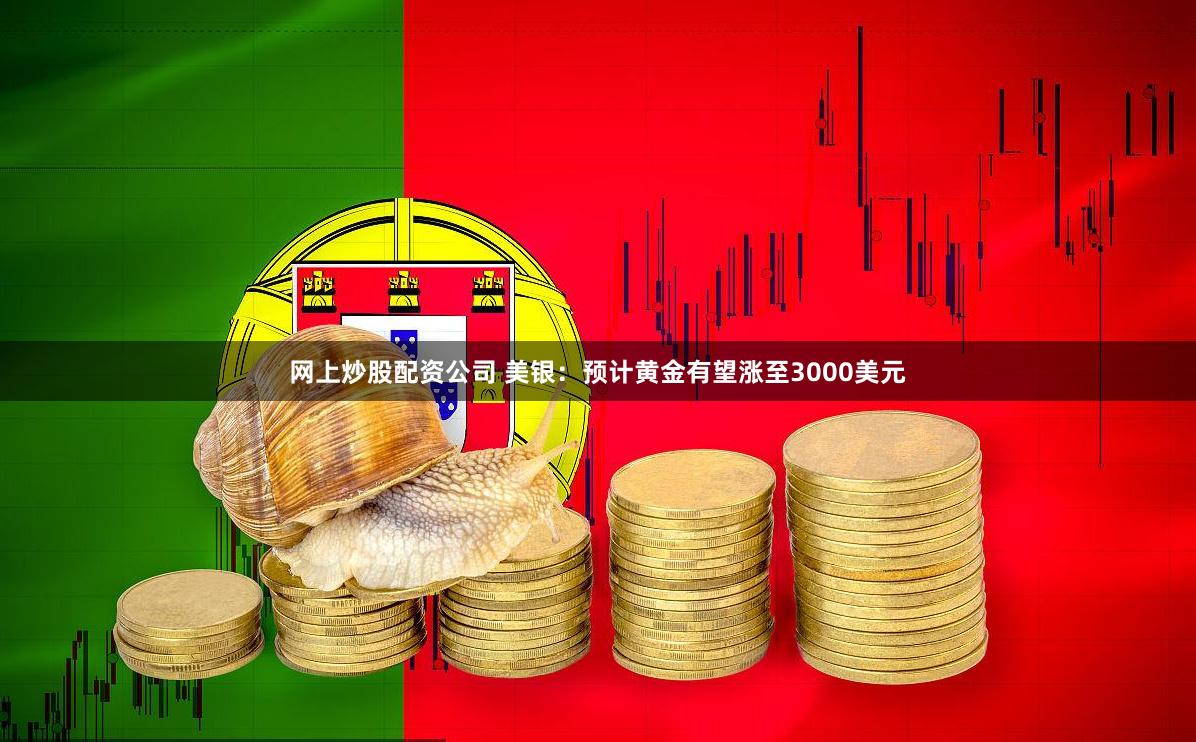 网上炒股配资公司 美银：预计黄金有望涨至3000美元