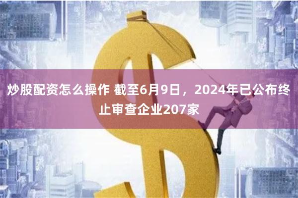 炒股配资怎么操作 截至6月9日，2024年已公布终止审查企业207家