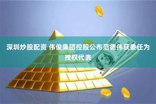 深圳炒股配资 伟俊集团控股公布范德伟获委任为授权代表