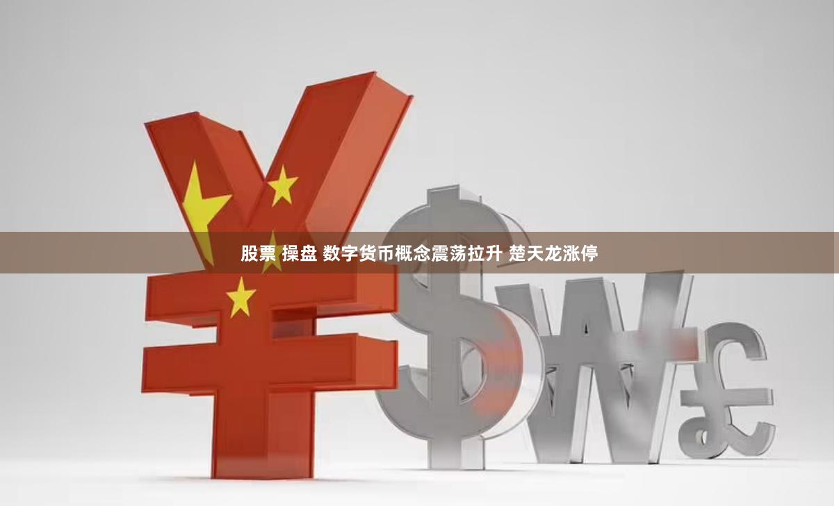 股票 操盘 数字货币概念震荡拉升 楚天龙涨停