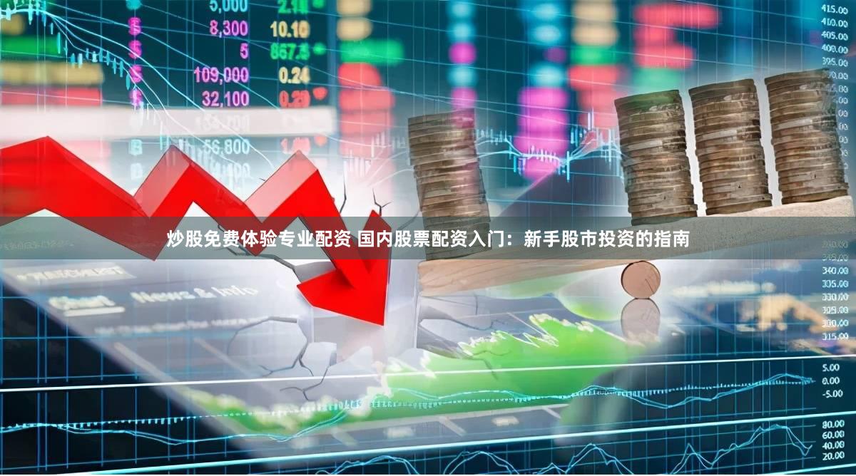 炒股免费体验专业配资 国内股票配资入门：新手股市投资的指南